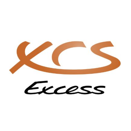 EXCESS EXCESS